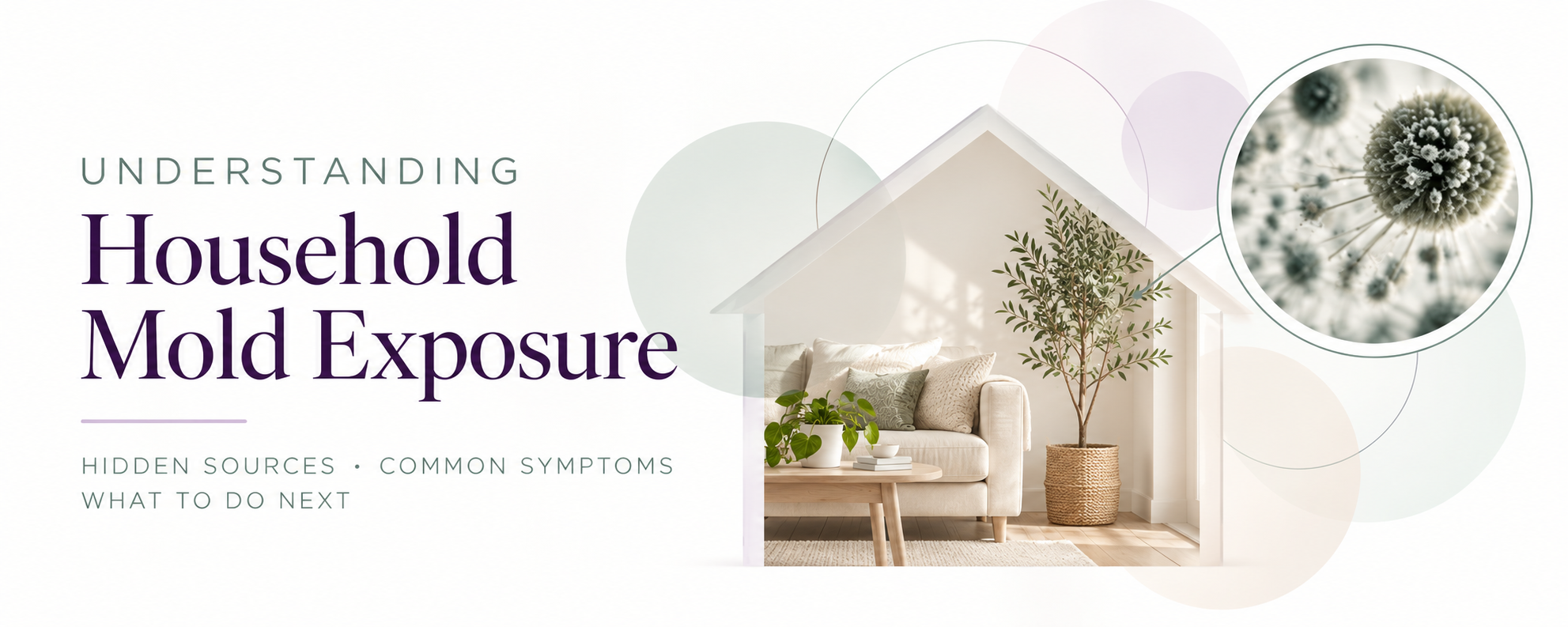 Understanding household mold exposure graphic featuring a home interior and a magnified illustration of mold spores.