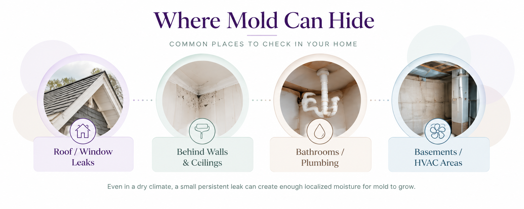 Four common household mold locations: roof and window leaks, behind walls and ceilings, bathroom plumbing, and basements or HVAC areas.