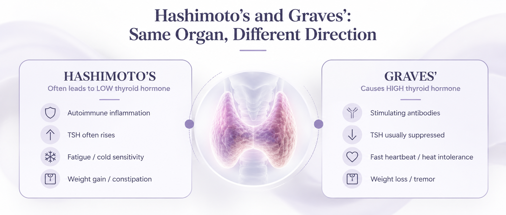Purple medical infographic comparing Hashimoto's and Graves' disease, including thyroid hormone levels, TSH patterns, autoimmune mechanisms and common symptoms.