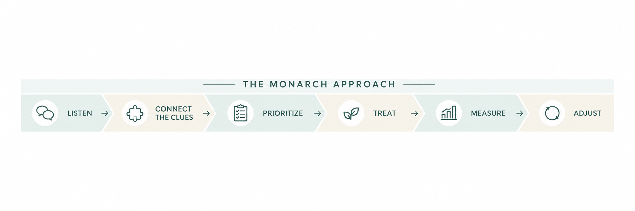 Six-step Monarch Integrative Health process showing listening, connecting clinical clues, prioritizing, treating, measuring progress and adjusting the care plan.
