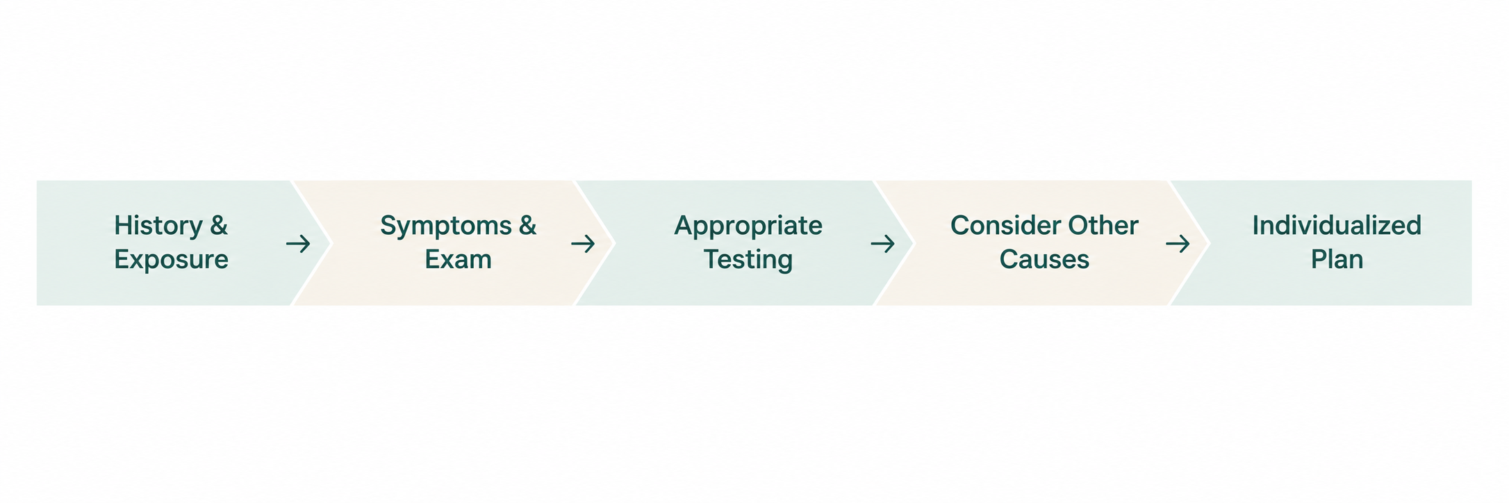 Five-step Lyme disease evaluation infographic showing exposure history, symptoms and examination, appropriate testing, consideration of other causes and individualized planning.
