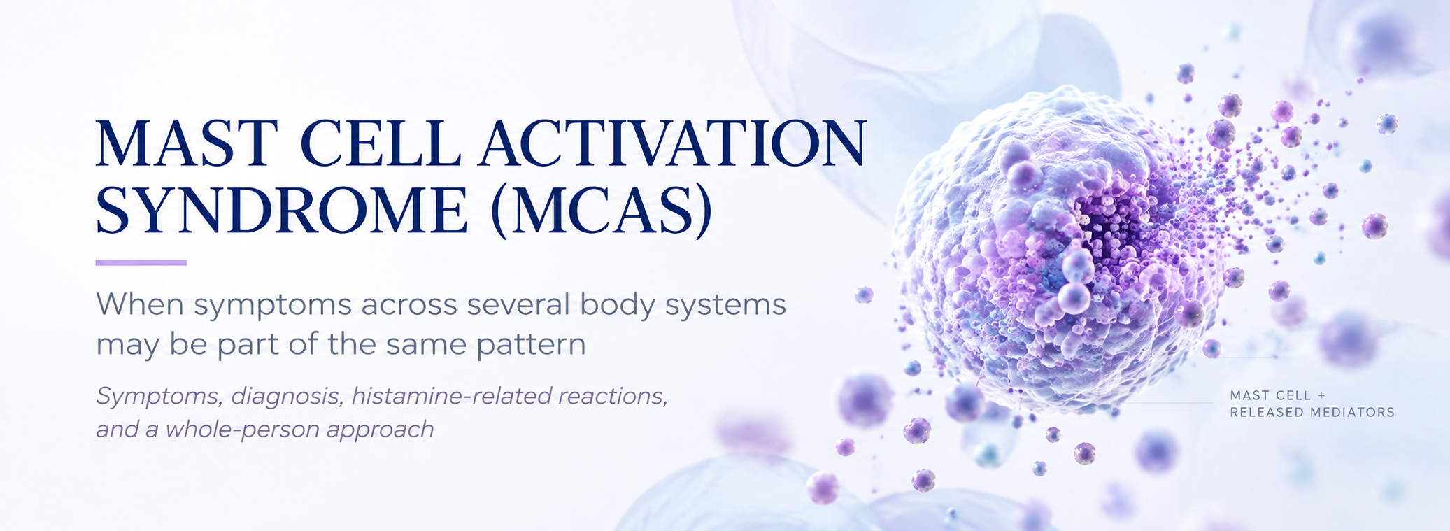 Medical illustration of an activated mast cell releasing mediators in blue and purple, introducing mast cell activation syndrome and multisystem symptoms.