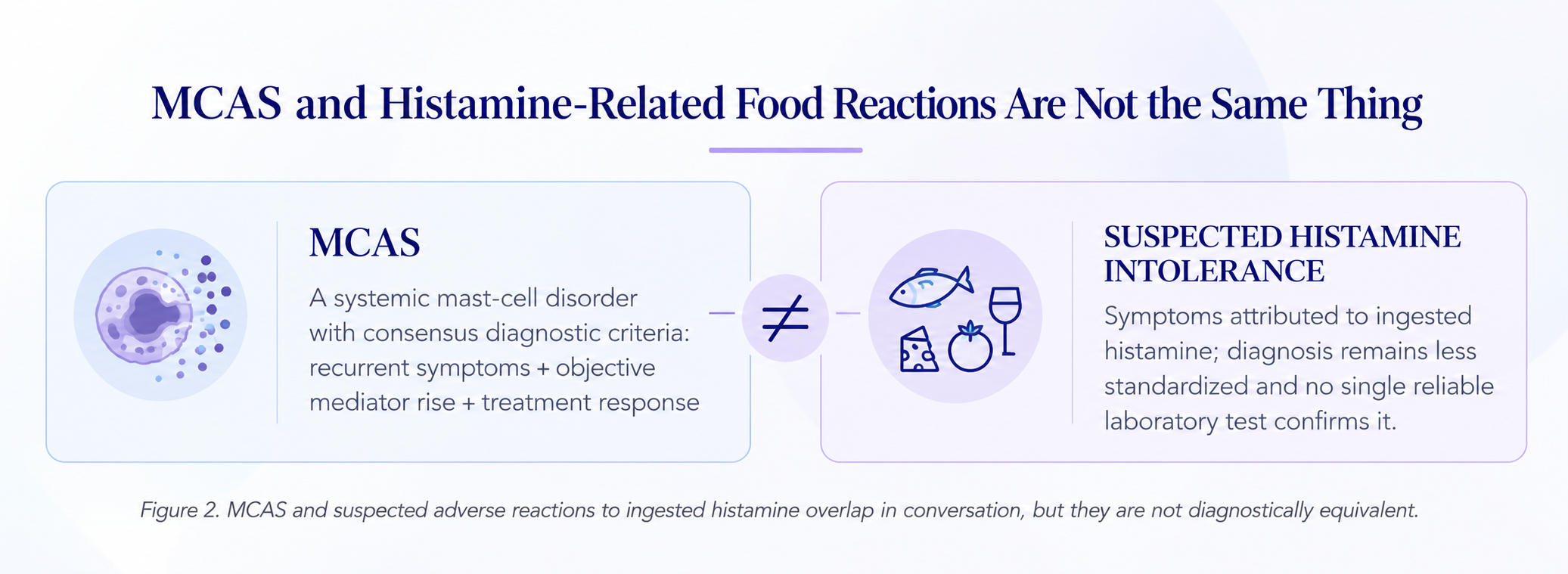 Blue and purple comparison infographic explaining differences between mast cell activation syndrome and suspected histamine intolerance, including diagnostic criteria.