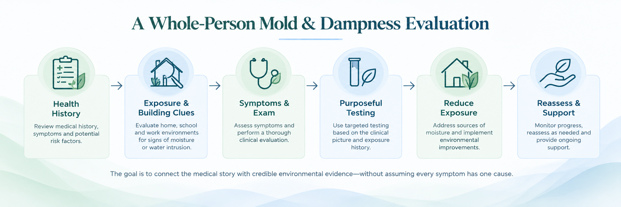 Six-step infographic illustrating mold and dampness evaluation through health history, environmental exposure, symptom assessment, purposeful testing, exposure reduction and reassessment.